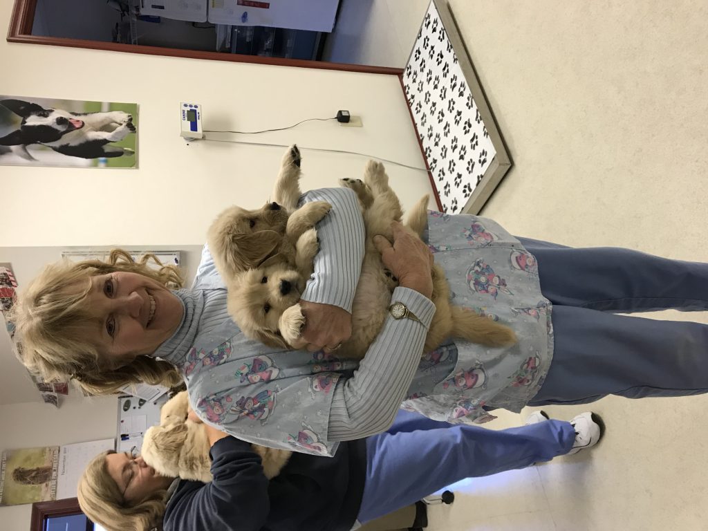 gloriapuppy Broadway Veterinary Hospital