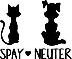 Importance of Spaying/Neutering